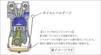 回答の画像