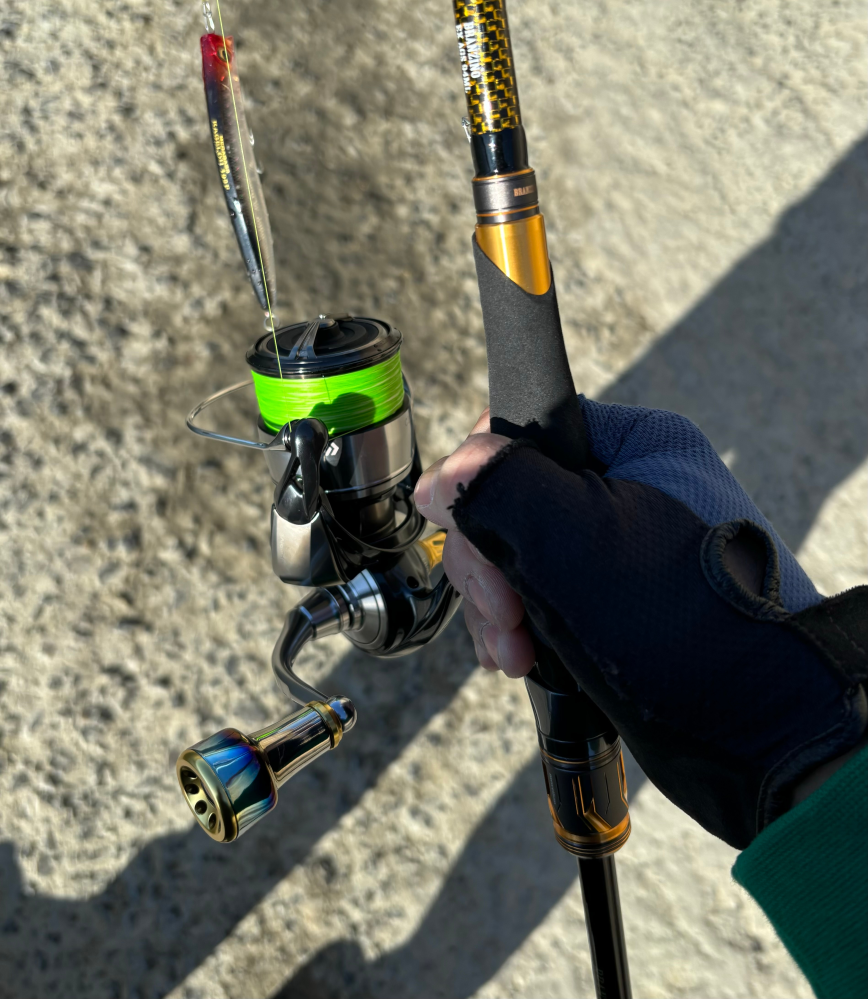 CERTATE 19セルテート LT4000-CXH ゴメクサスハンドルノブ ダイワ DAIWA 釣り用品 リール ｜中古｜なんでもリサイクルビッグバン