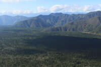 富士の樹海に迷い込めば 殆ど生還不可能なのですか 生きる気が Yahoo 知恵袋