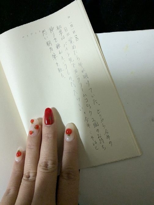 マイブック2025年の記録を買った方何を書く予定なのか教えていただき