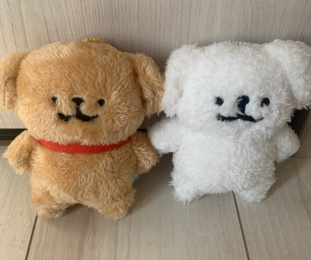 ENHYPENのぬいぐるみについてです。私はENHYPENのジェイクのぬい