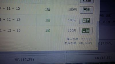 馬券の投資法について。単勝一点買いで年間通して105％程度の回収率を