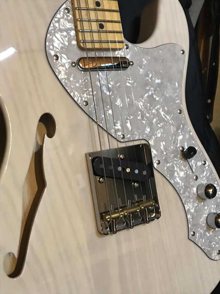 2本目のギターにフジゲンのbasicclassicを購入しようか迷っています