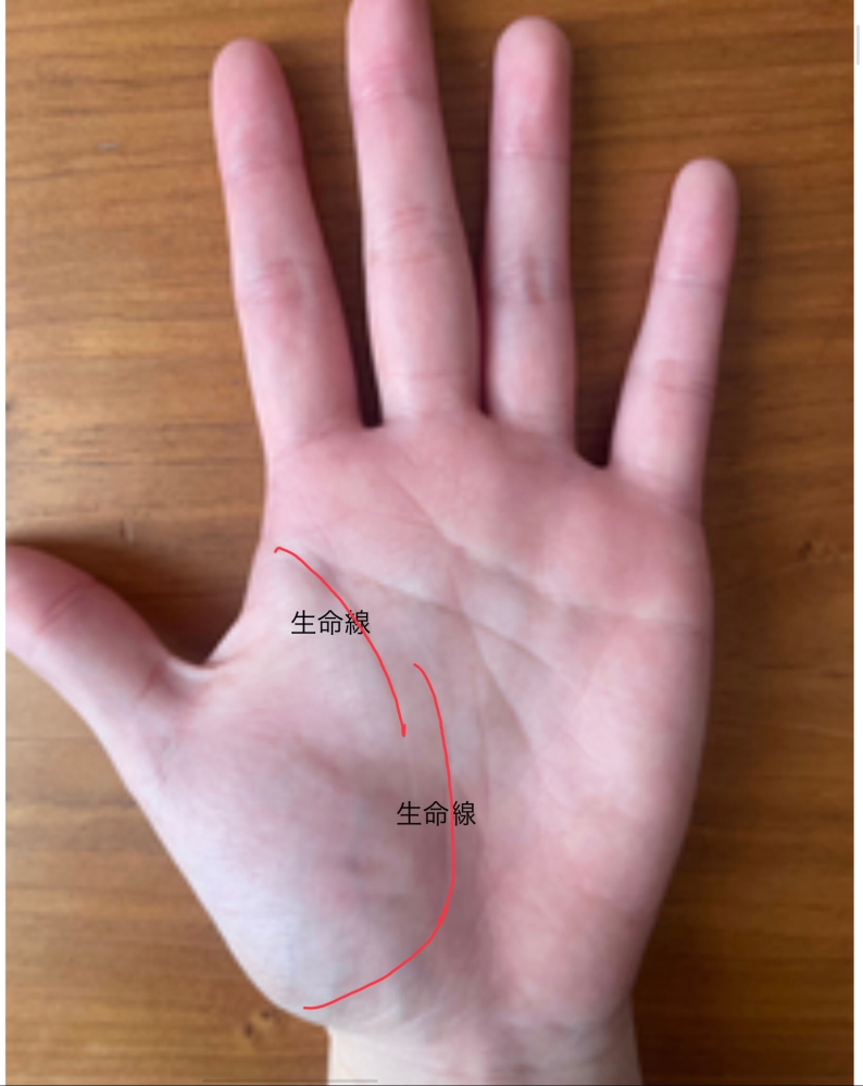 生命線 が 短い