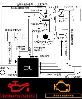 回答の画像