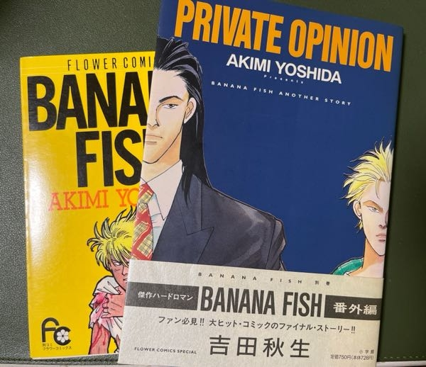 BANANAFISHの番外編についてあまりよく分かっていないのです
