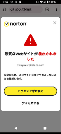 ✩こちらは、既にご購入者さまが決まっております Amazonからメールが来たのですが、これって詐欺メールですか