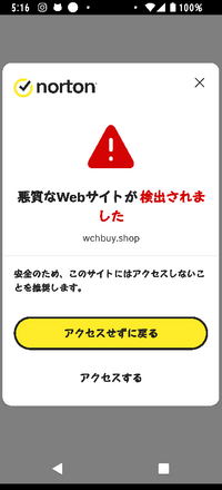 詐欺サイトですか？】こちらのサイトで商品を購入しようとして