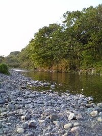 埼玉県で 綺麗な川の前に車をつけてbbqが出来て 川遊びが出来る場所が知りたい Yahoo 知恵袋