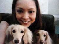 安室奈美恵さんの犬の種類 安室ちゃんの犬のコトちゃんとガッチャンは何犬 Yahoo 知恵袋