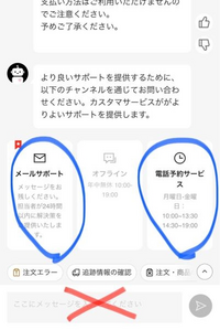しおん 10-16まで発送できません  06f8078d-8978-445b-9da4-