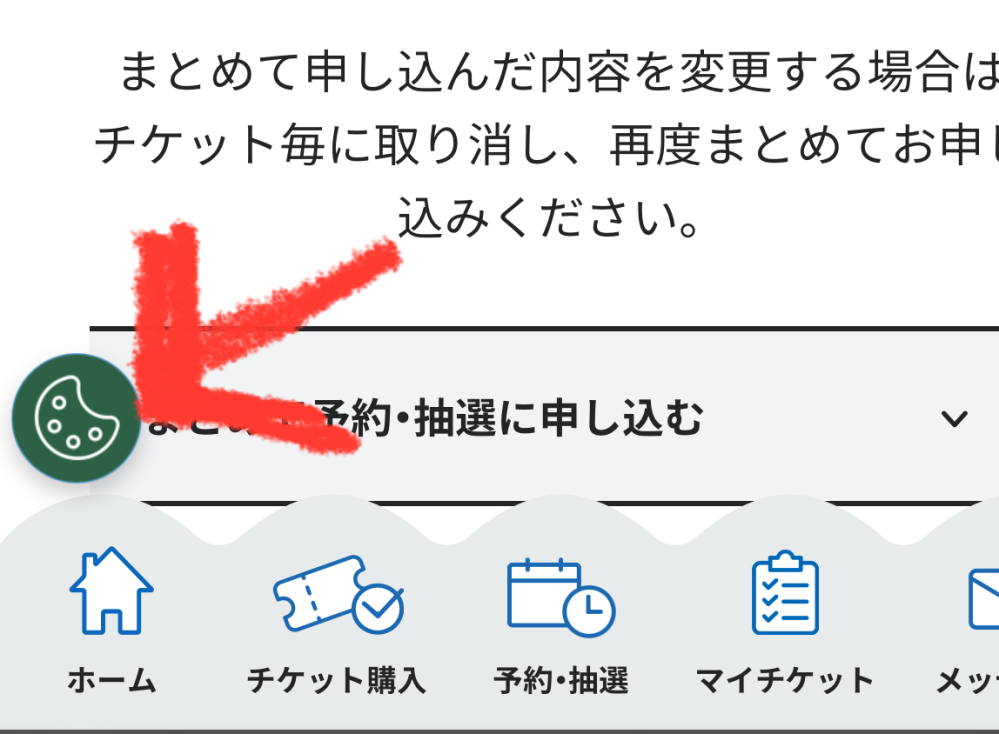 M♡即購入OK♡セット割あり様確認ページ 万博のマイチケット画面が出なくなりました毎月1泊2日で万博に行ってい