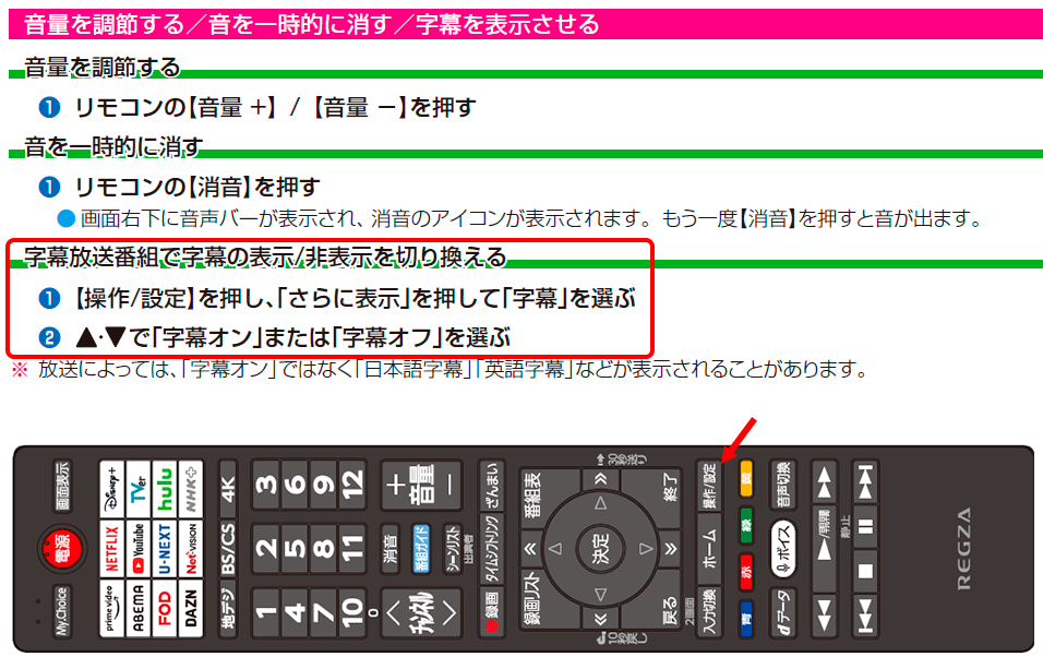 テレビ(REGZA)の字幕の出し方を教えてください - 具体的な型