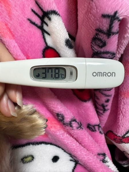 至急37.5度位の体温計の写真持ってるかたいませんか…？拾い画じゃない