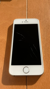 もしiPhoneSE第1世代を2台手に入れたら何に使用しますか？容量