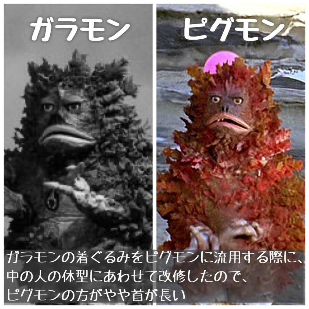 ウルトラマンに出てくるピグモンってどんなやつなんですか