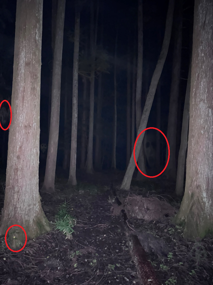 霊感写真 霊感がある人に見てもらいたい写真がありますここに霊はいますか