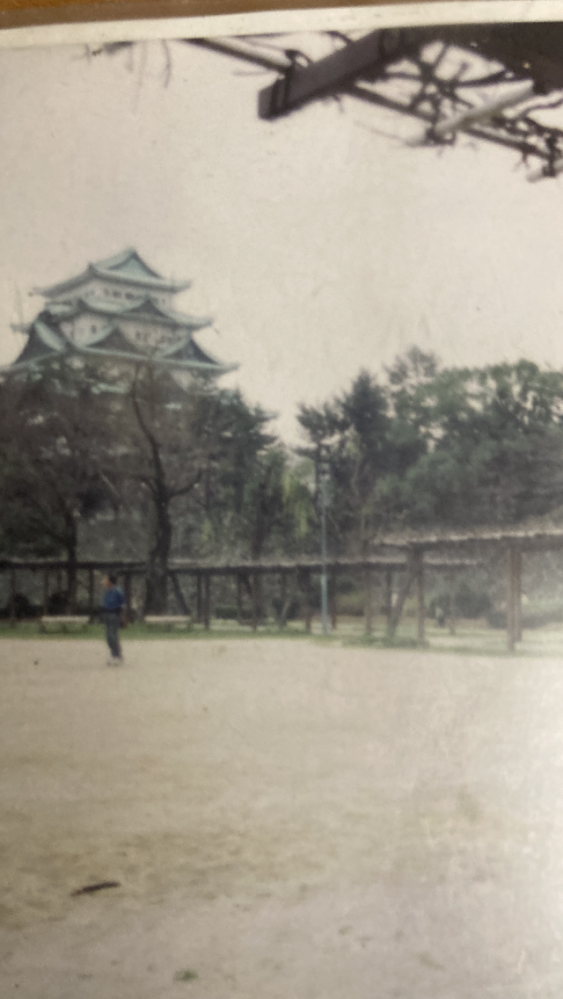 名古屋の名城公園から名古屋城が見えるスポット教えてください詳しい