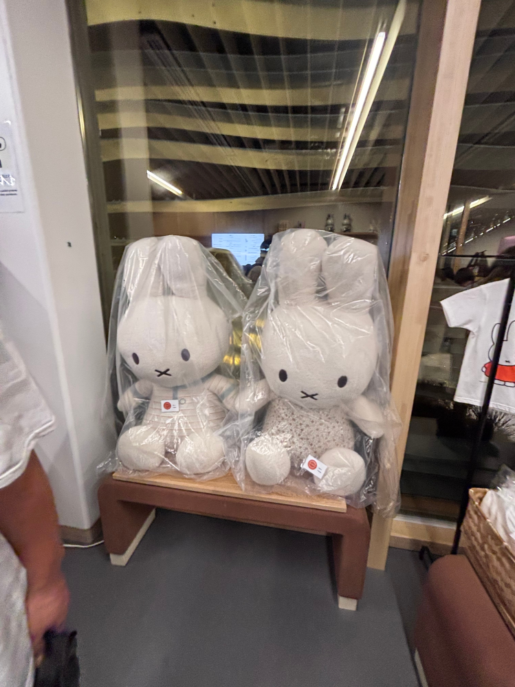 今度、万博に行きます。オランダ館が予約できたためミッフィーグッズを