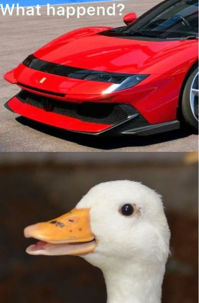 回答の画像