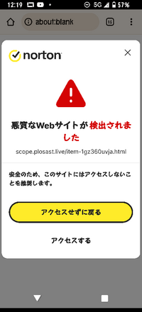 購入しますとコメントお願いします この商品が欲しいのですが安全なサイトですか？詐欺サイトですか