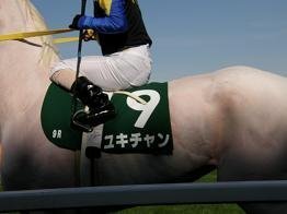 競馬の騎手は道中どこにムチを収納しているんでしょうか？私は乗馬をする際、ム... - Yahoo!知恵袋