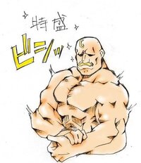 鋼の錬金術師のアレックス ルイ アームストロングの上半身裸の画像ありませんか Yahoo 知恵袋