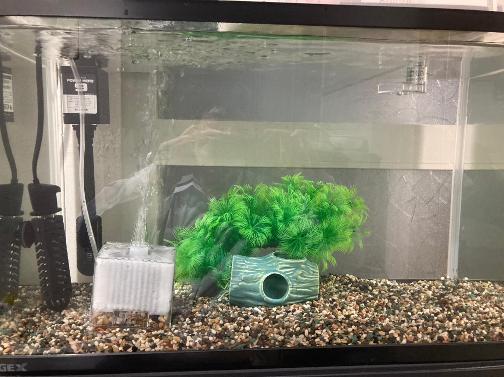 金魚飼育のため、60cm水槽を立ち上げようと思っています。上部 