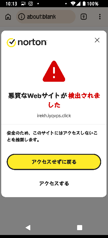 このサイトは詐欺でしょうか？商品を注文してしまいました。支払い方法