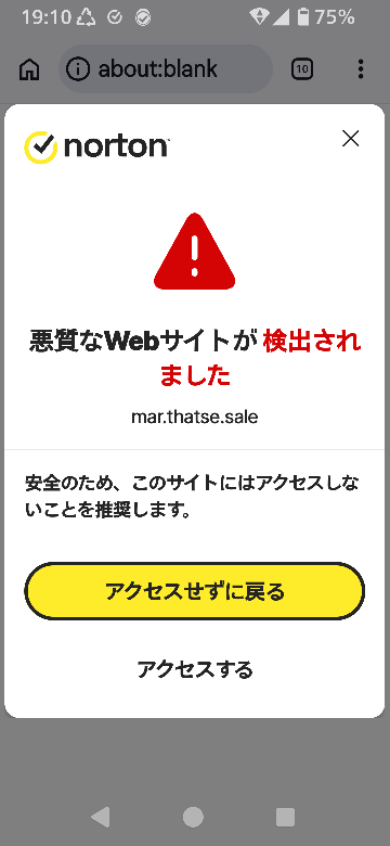 先程こちらのサイトで個人情報を入れPayPayで商品の代金を支払ったの