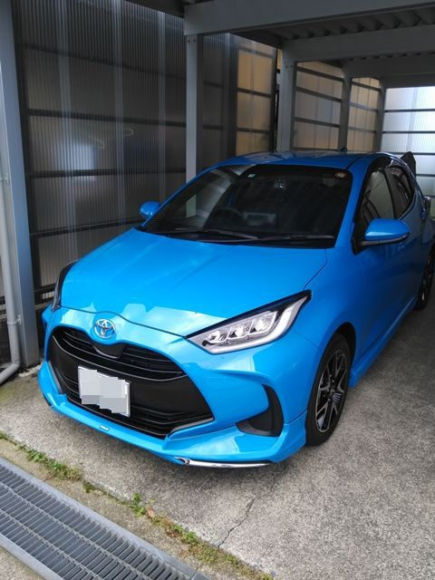 回答の画像