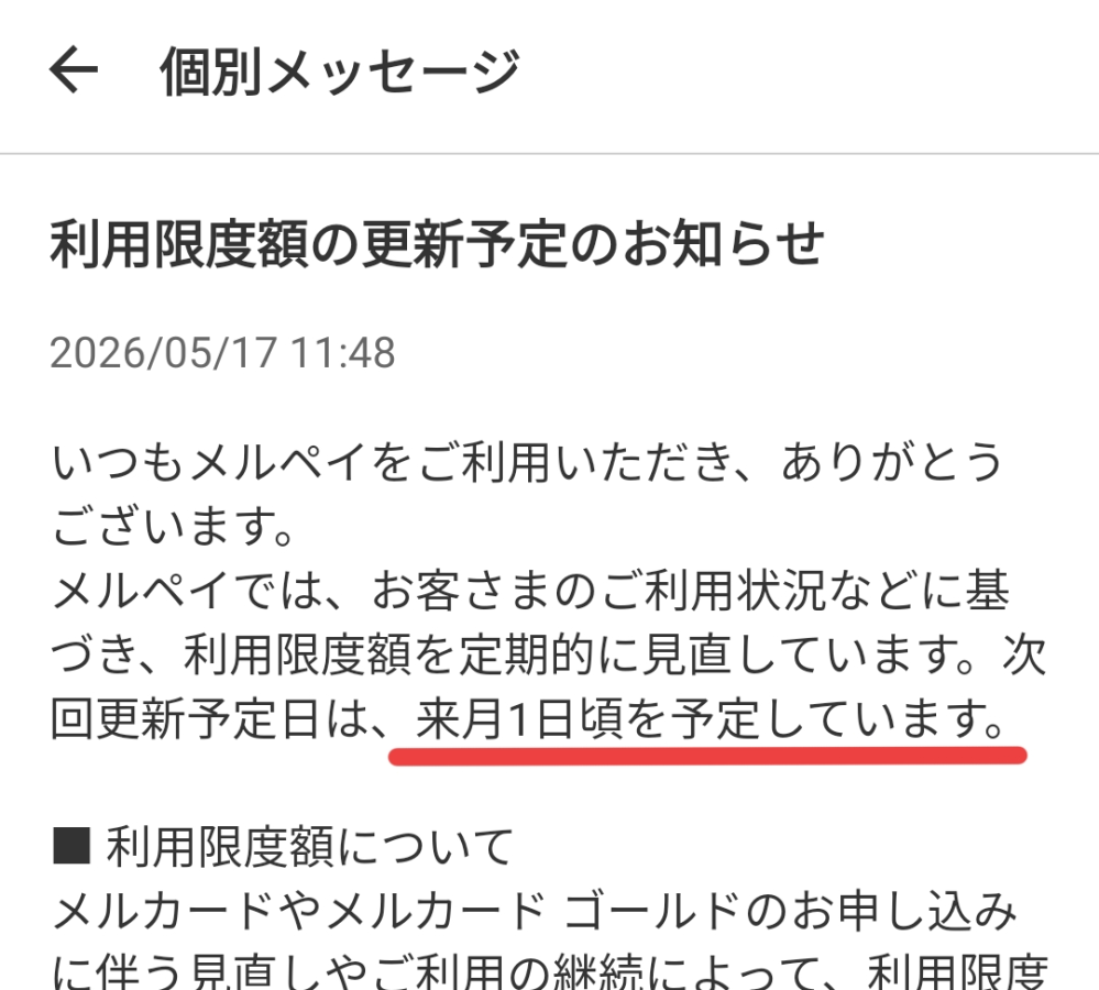 メルカリの月利用額上限1万円のメルカードを作ったのですが、いつ