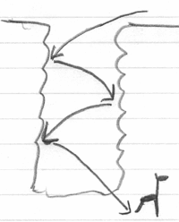 動物の中で 一番 ジャンプ力がある動物は 何かな カンガルーかな Yahoo 知恵袋