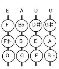 コントラバスの運指表 ポジション表 って少ないですよね 学校にコ Yahoo 知恵袋