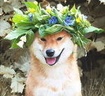 神にでもなったつもりか すいません 生まれた時から神なん Yahoo 知恵袋