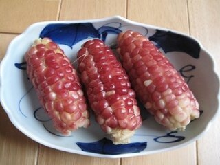 とうもろこしで赤い実をつけるの知ってます 黄色いとうもろこしより小さく 大き Yahoo 知恵袋