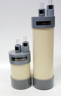 白点病が治りません 助けて下さい もう３週間も薬浴しているの Yahoo 知恵袋