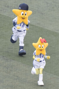 横浜ベイスターズって動物で言うと何なのでしょう 星です 動物じゃな Yahoo 知恵袋