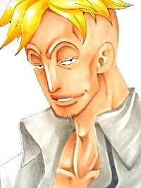 Onepieceぶっちゃけ 白ひげ海賊団一番隊隊長マルコを初めて見たとき強そう Yahoo 知恵袋