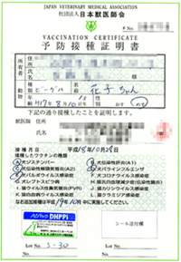 犬のワクチン証明書について 先日知人が亡くなり その知人が飼っていた犬を我 Yahoo 知恵袋