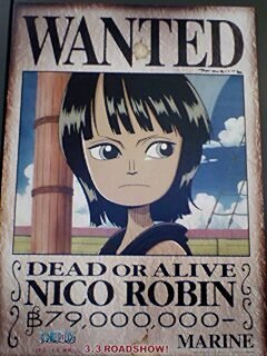 Onepieceニコ ロビンの子供時代の手配書画像をください お礼コイン Yahoo 知恵袋