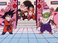 ドラゴンボールの天下一武道会で ピッコロの体の中に神様がいて悟空がカメハメハ Yahoo 知恵袋