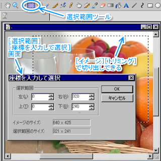 Pictbearについての質問です大きな画像をサイズを指定して切り取る Yahoo 知恵袋