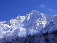 排卵日前後の頭痛 吐き気等について これは排卵のせいでなる症 Yahoo 知恵袋