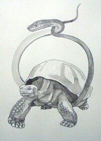 玄武って何 玄武の絵を見ると 亀に蛇がからまりお互いに口 Yahoo 知恵袋