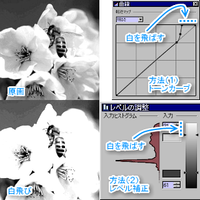 紙に描かれた絵をスキャナで取り込んだ場合 白地の部分の汚れが薄い灰色になって取 Yahoo 知恵袋