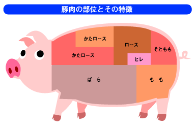 焼肉で豚肉と牛肉でどちらがたんぱく質が多いですか 部位にもよります 同じ Yahoo 知恵袋