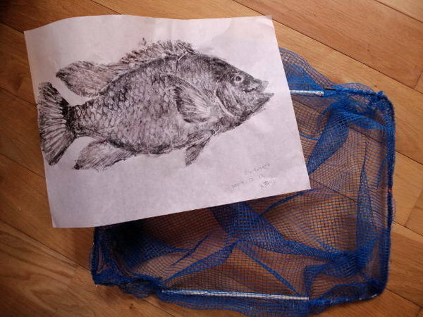 魚拓に使う紙ってなにがいいんですか 釣具屋さんに行けば専用の魚拓用 Yahoo 知恵袋
