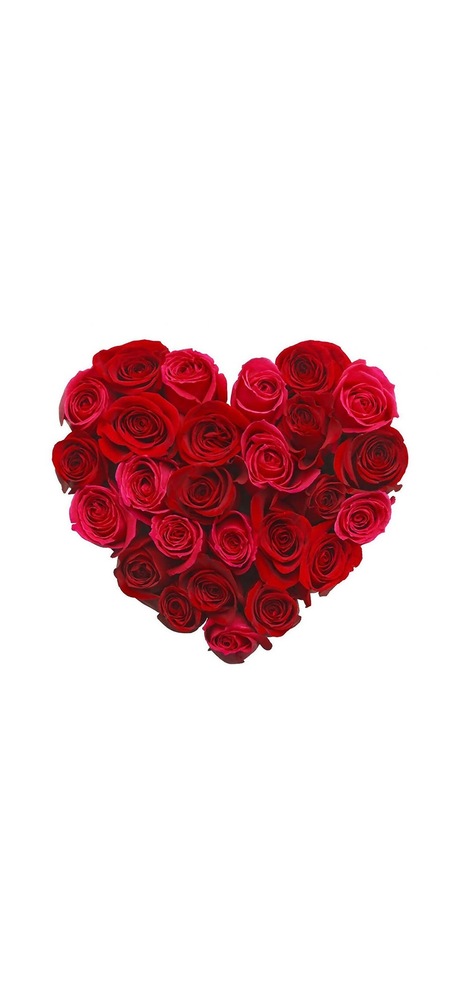 笑うと咳が出ます 最近大笑いをすると咳が出て気管支が苦 Yahoo 知恵袋