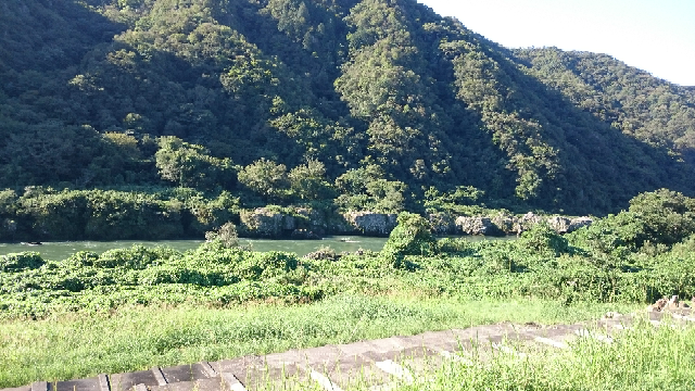 Ps4に登録するための名前は実名じゃなきゃダメなんですか 実 Yahoo 知恵袋